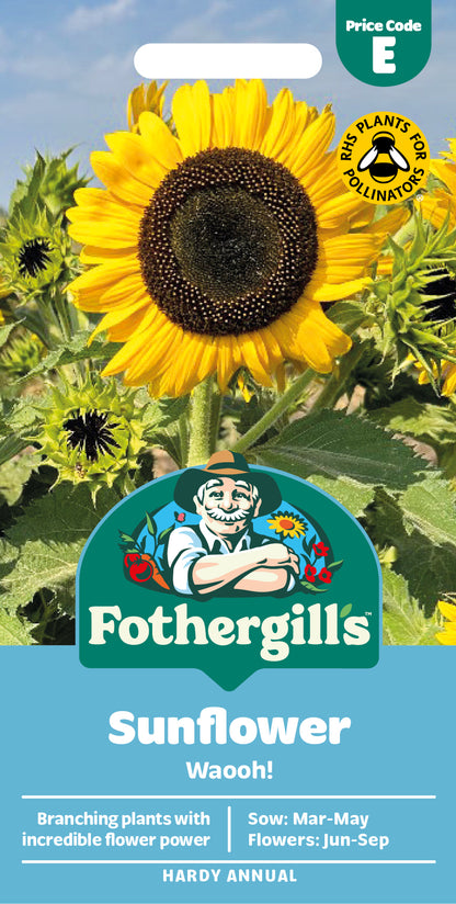 Mr Fothergill's Sunflower Waooh! Seeds