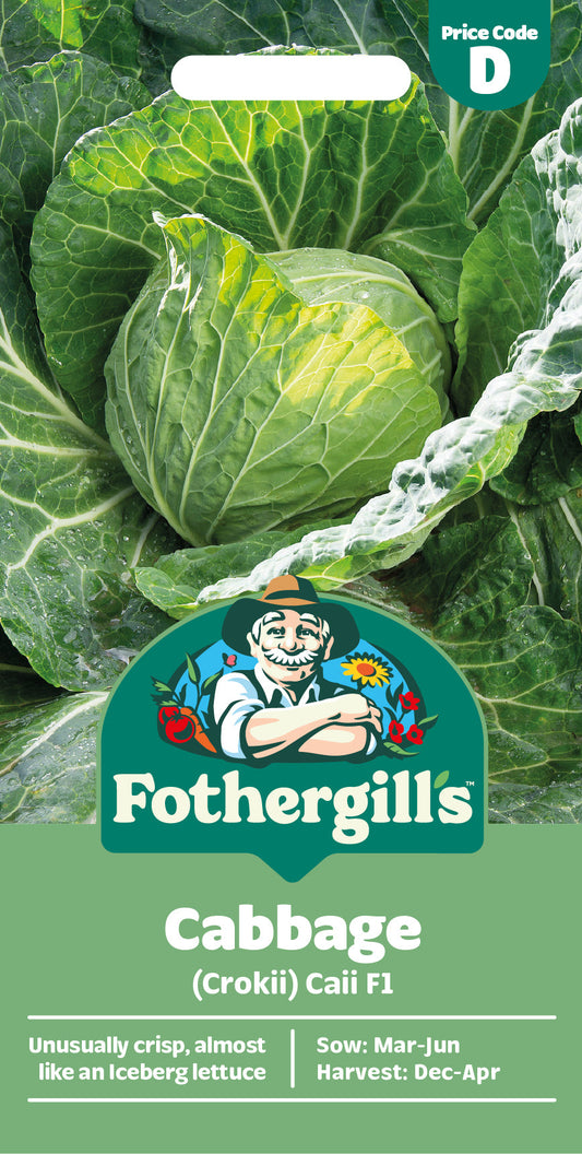 Mr Fothergill's Cabbage (Crokii) Caii F1 Seeds Packet