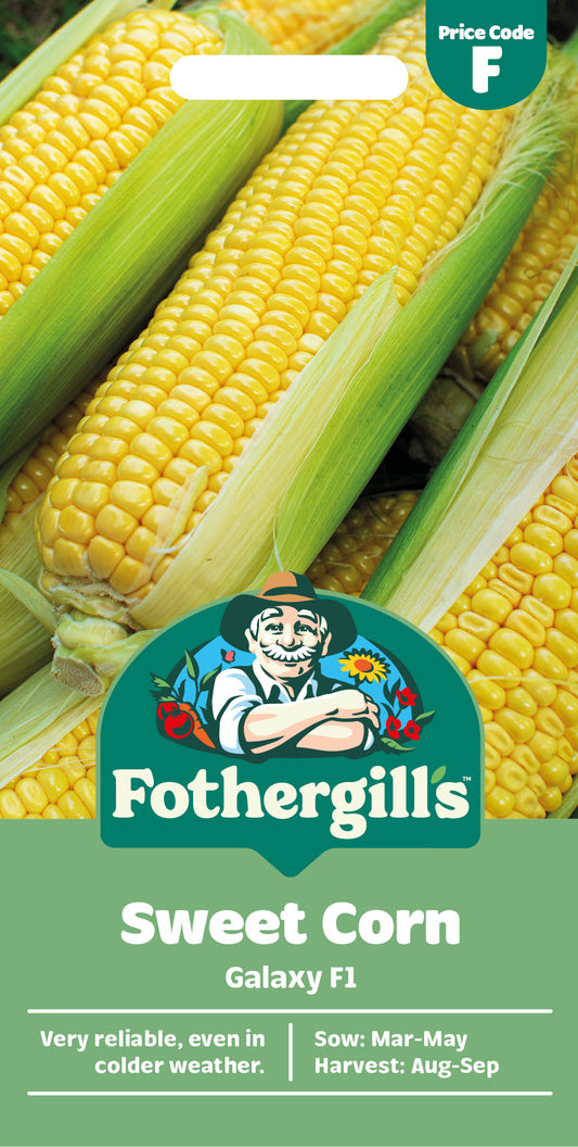 Mr Fothergill's Sweet Corn Galaxy F1 Seeds Packet