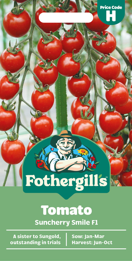Mr Fothergill's Tomato Suncherry Smile F1 Seeds Packet