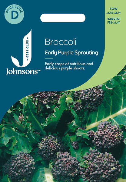 Johnsons Broccoli Early Purple Sp Seeds Packet