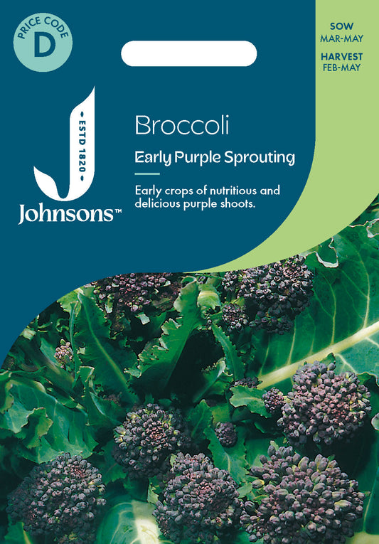 Johnsons Broccoli Early Purple Sp Seeds Packet