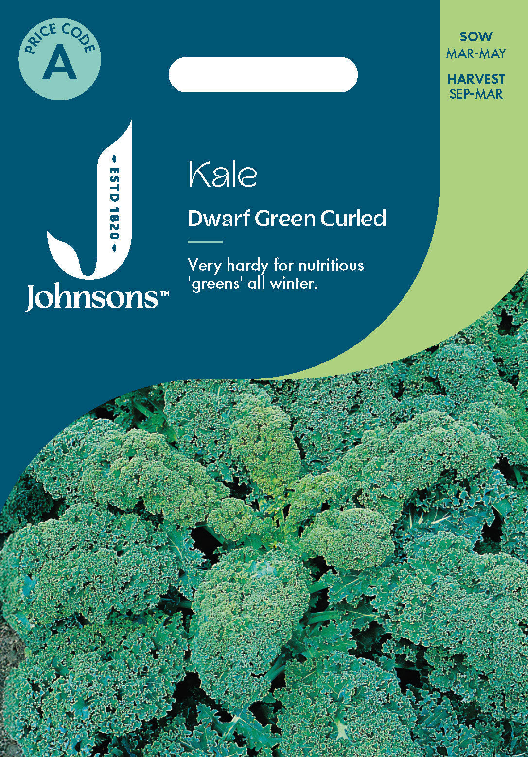 Johnsons Kale Dwarf Green Curled Seeds Packet