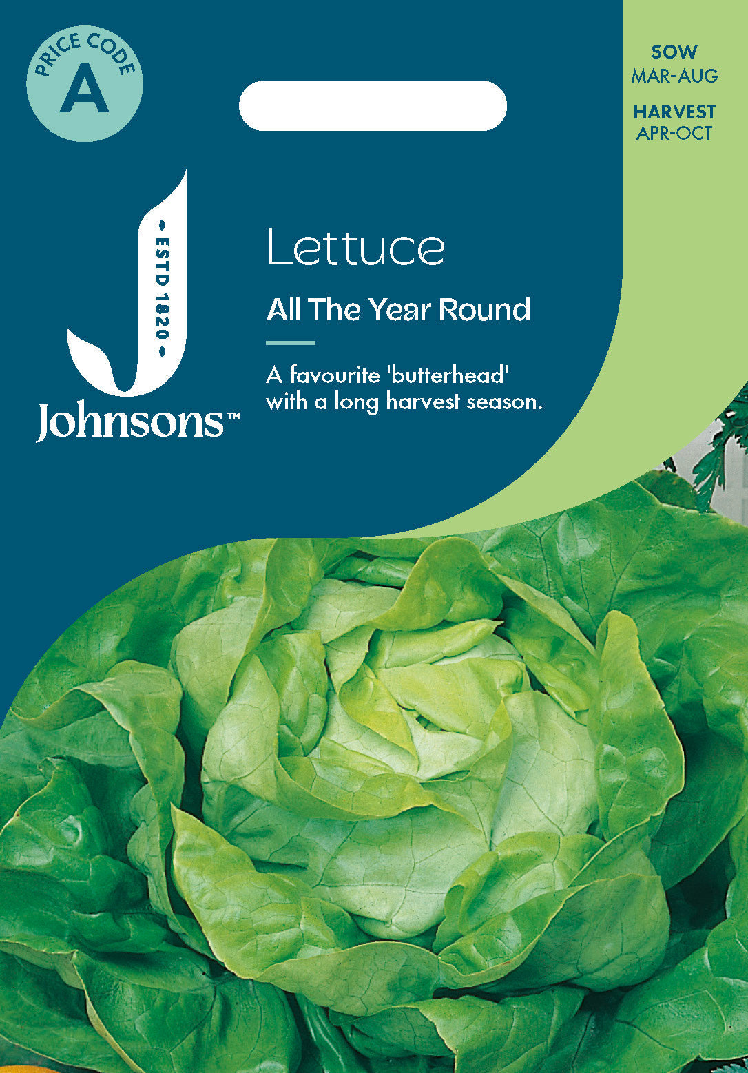 Johnsons Lettuce All The Year Round Seeds Packet