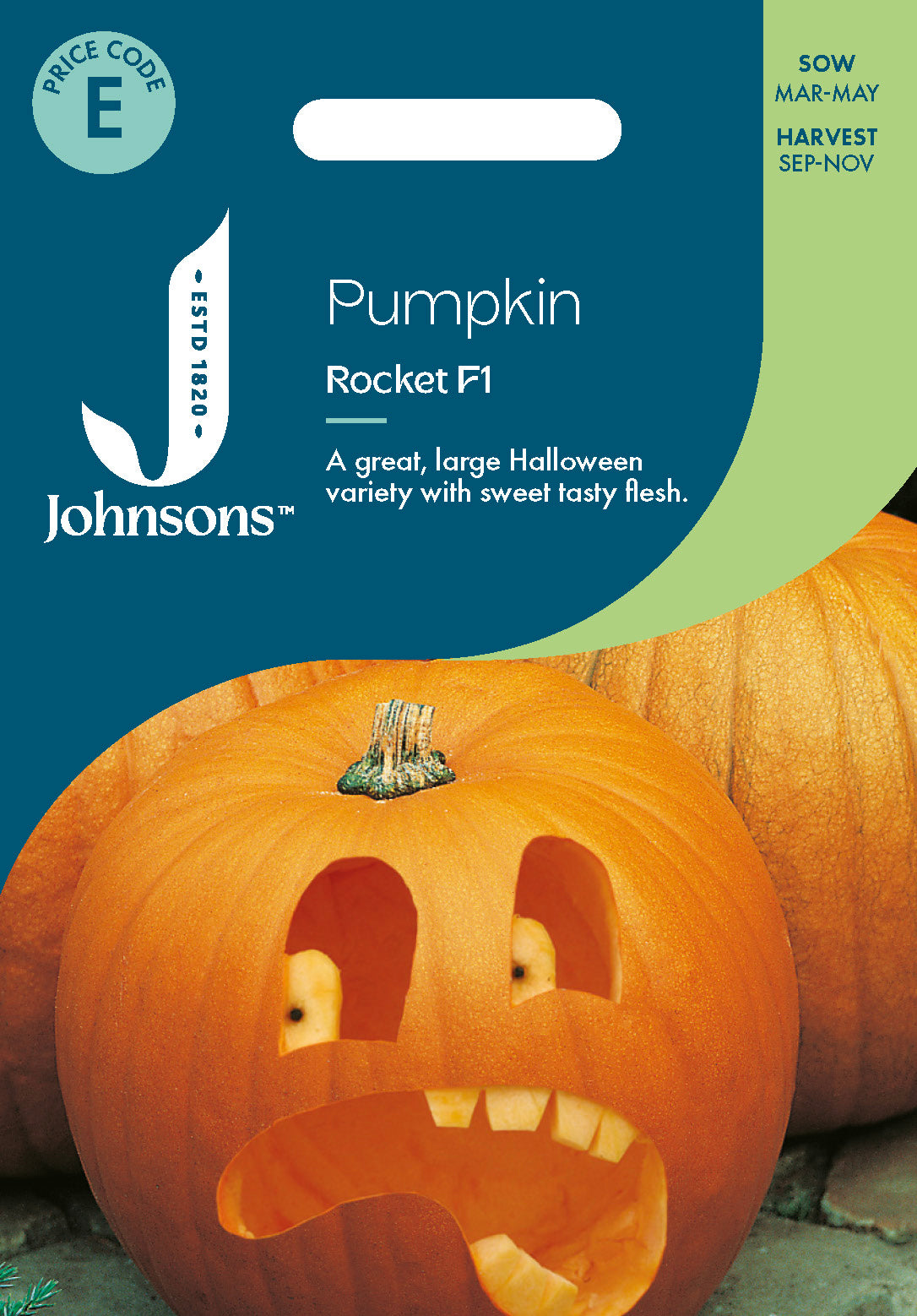 Johnsons Pumpkin Rocket F1 Seeds Packet