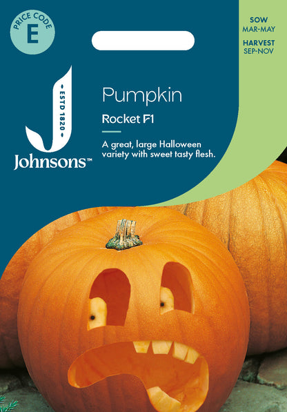 Johnsons Pumpkin Rocket F1 Seeds Packet