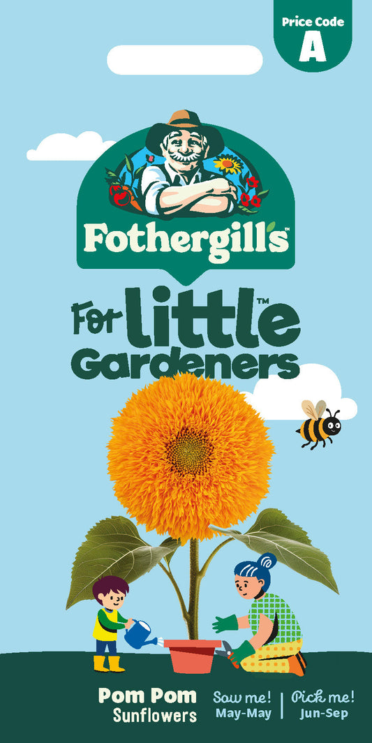 Mr Fothergill's Pom Pom Sunflowers Seeds Packet