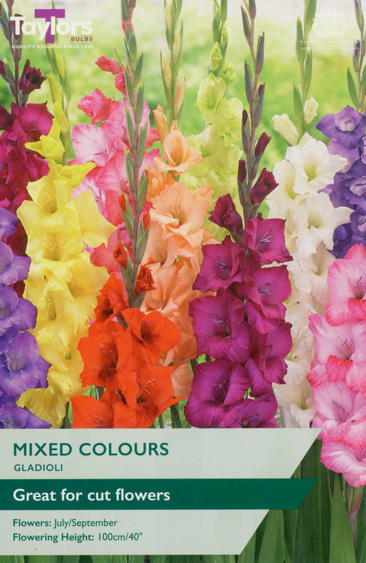 Colorful gladiolus flowers with a label indicating 'Mixed Colours' and 'Great for cut flowers'.