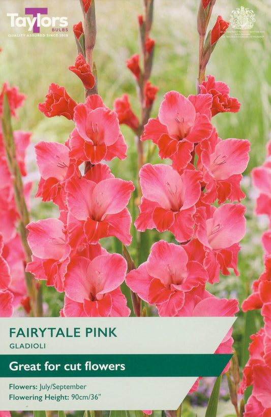 Packaging of Taylors Bulbs Fairytale Pink Gladioli with pink flowers in the background.