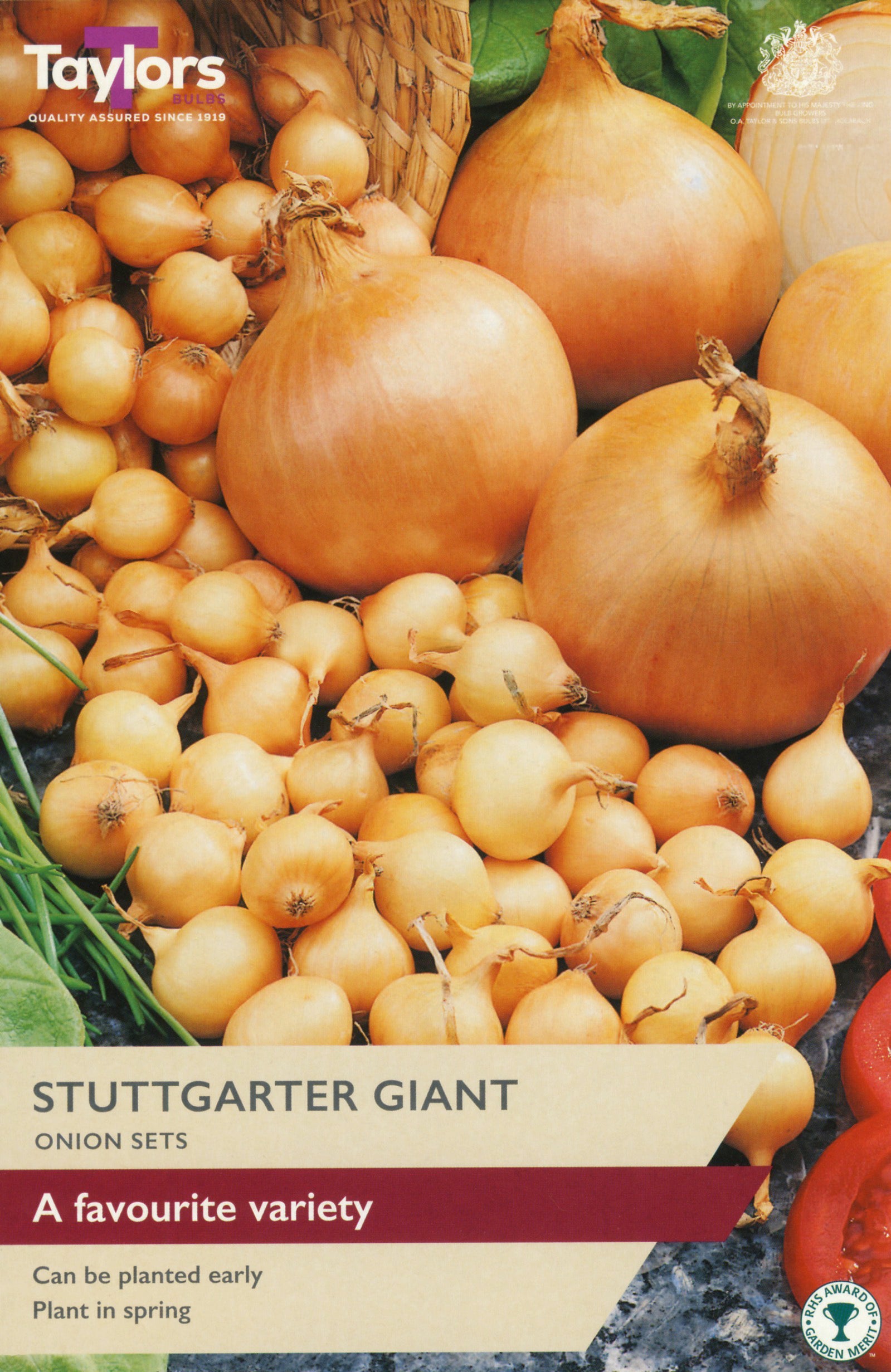 Taylors Bulbs Onion Sets Stuttgarter Giant 50 Pack Bulbs