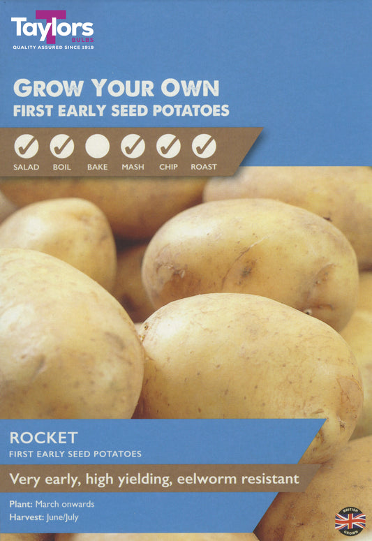 Taylors Bulbs Rocket First Early Seed Potatoes 10 Pack