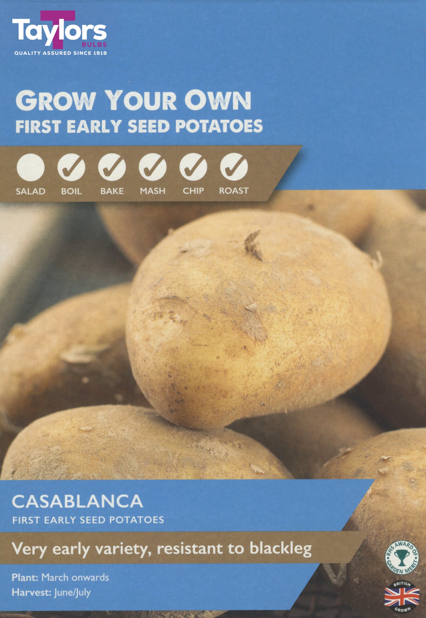 Taylors Bulbs Casablanca First Early Seed Potatoes 10 Pack