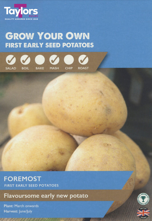 Taylors Bulbs Foremost First Early Seed Potatoes 10 Pack