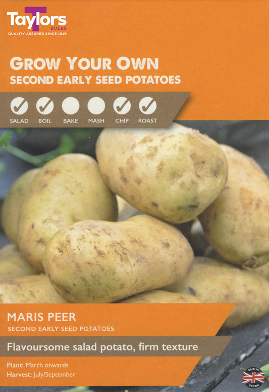 Taylors Bulbs Maris Peer Second Early Seed Potatoes 2KG
