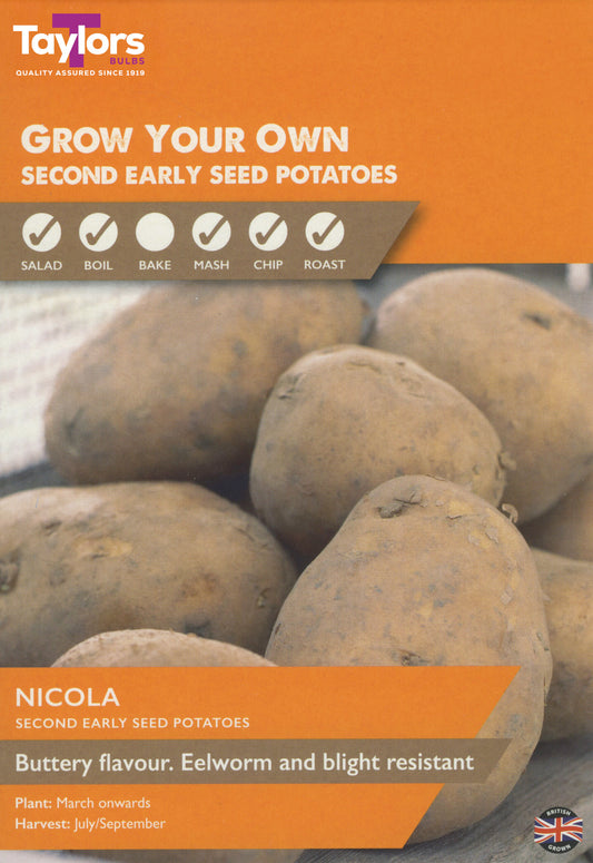 Taylors Bulbs Nicola Second Early Seed Potatoes 2KG