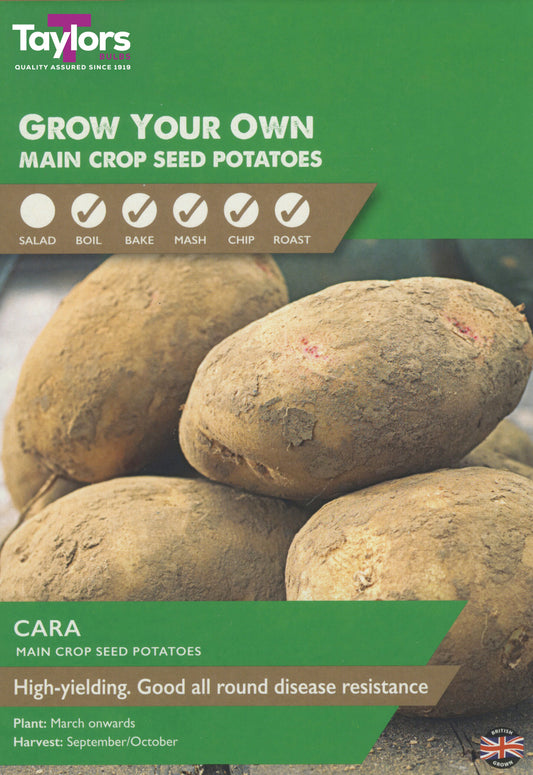 Taylors Bulbs Cara Main Crop Seed Potatoes 2KG