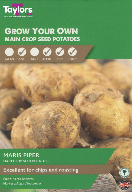 Taylors Bulbs Maris Piper Main Crop Seed Potatoes 2KG
