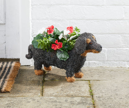 Dog-shaped planter with flowers against a white brick wall.