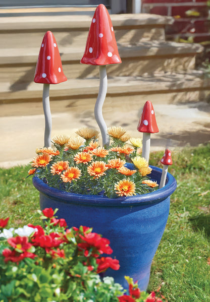 Mushrooms in pot
