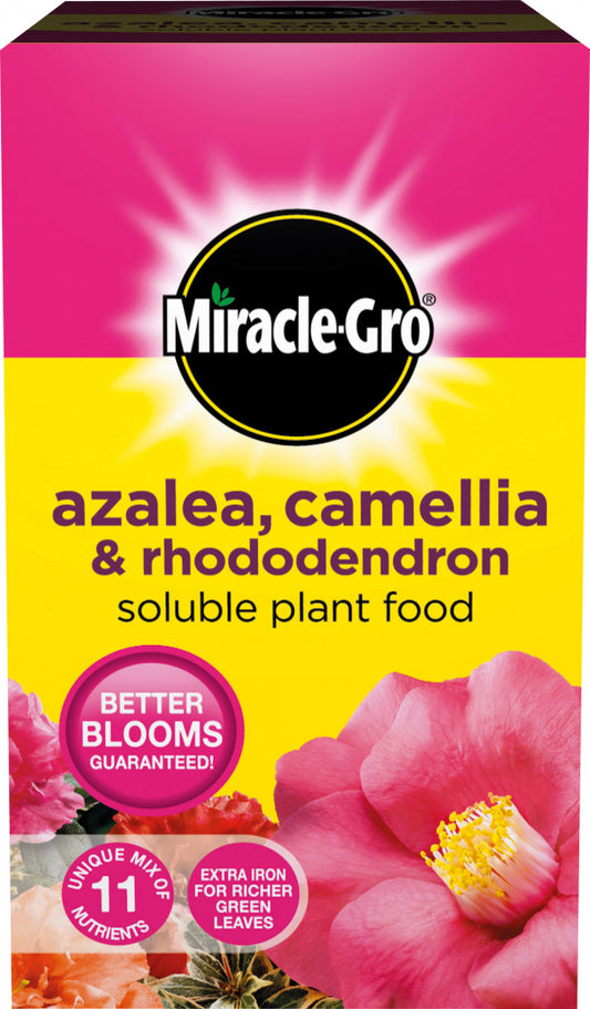 Miracle-Gro azalea, camellia & rhododendron plant food packaging with pink flowers on a yellow background.
