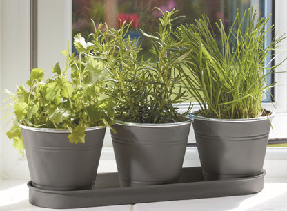 Three potted plants on a windowsill with a tray below.