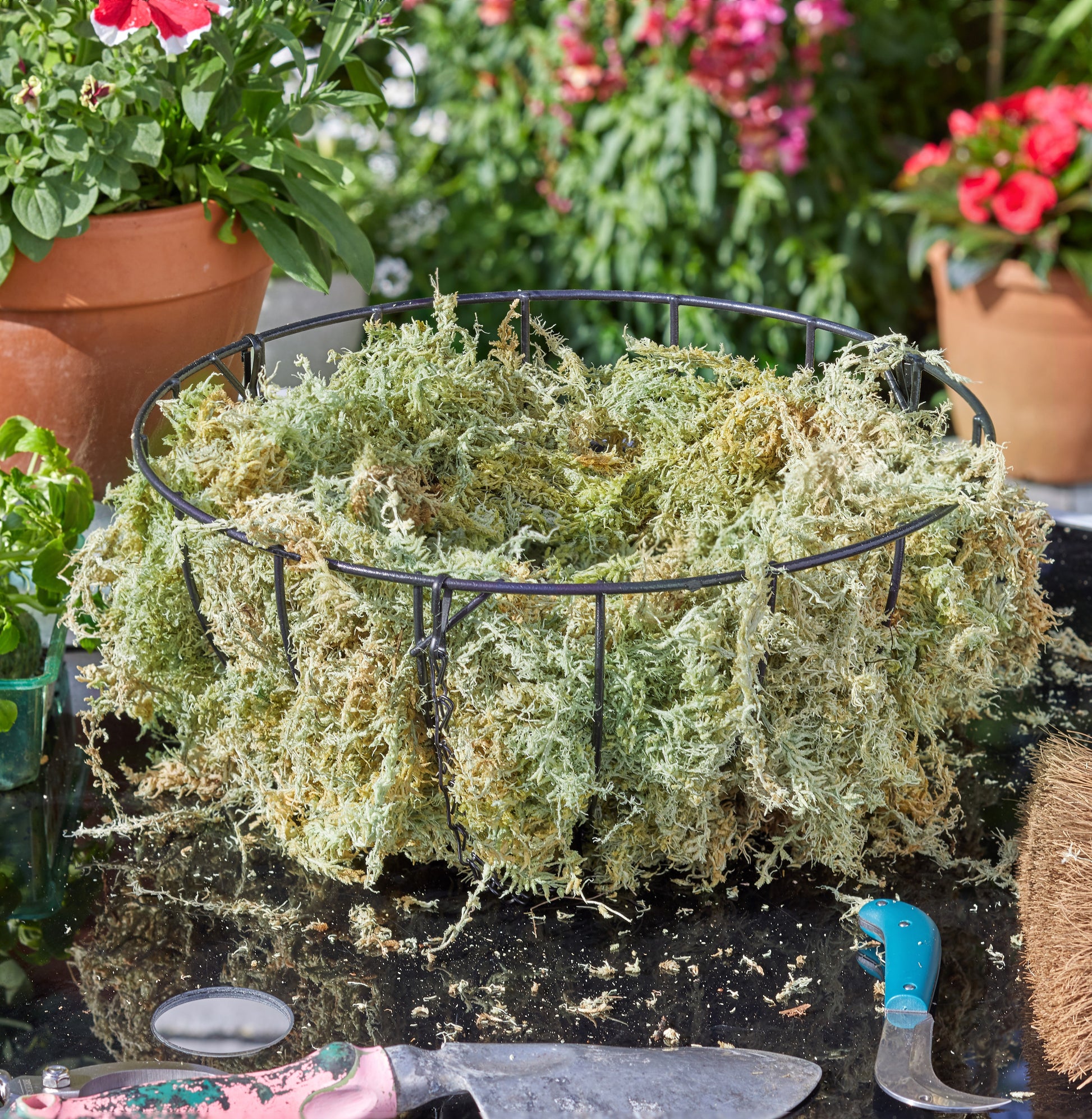 Mossy pot with a metal ring on a garden table with tools and plants in the background