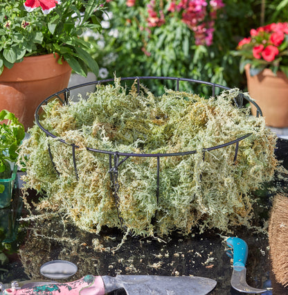 Mossy pot with a metal ring on a garden table with tools and plants in the background