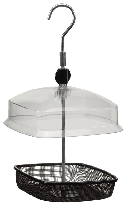 Hanging bird feeder with clear dome and black base on a white background