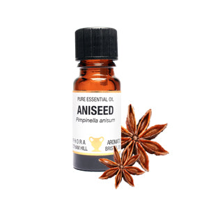 Aniseed essential oil bottle with star anise on a white background