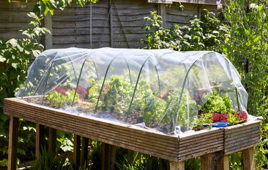 Vegetable garden with a raised bed covered by a clear plastic sheet in a lush green outdoor setting.