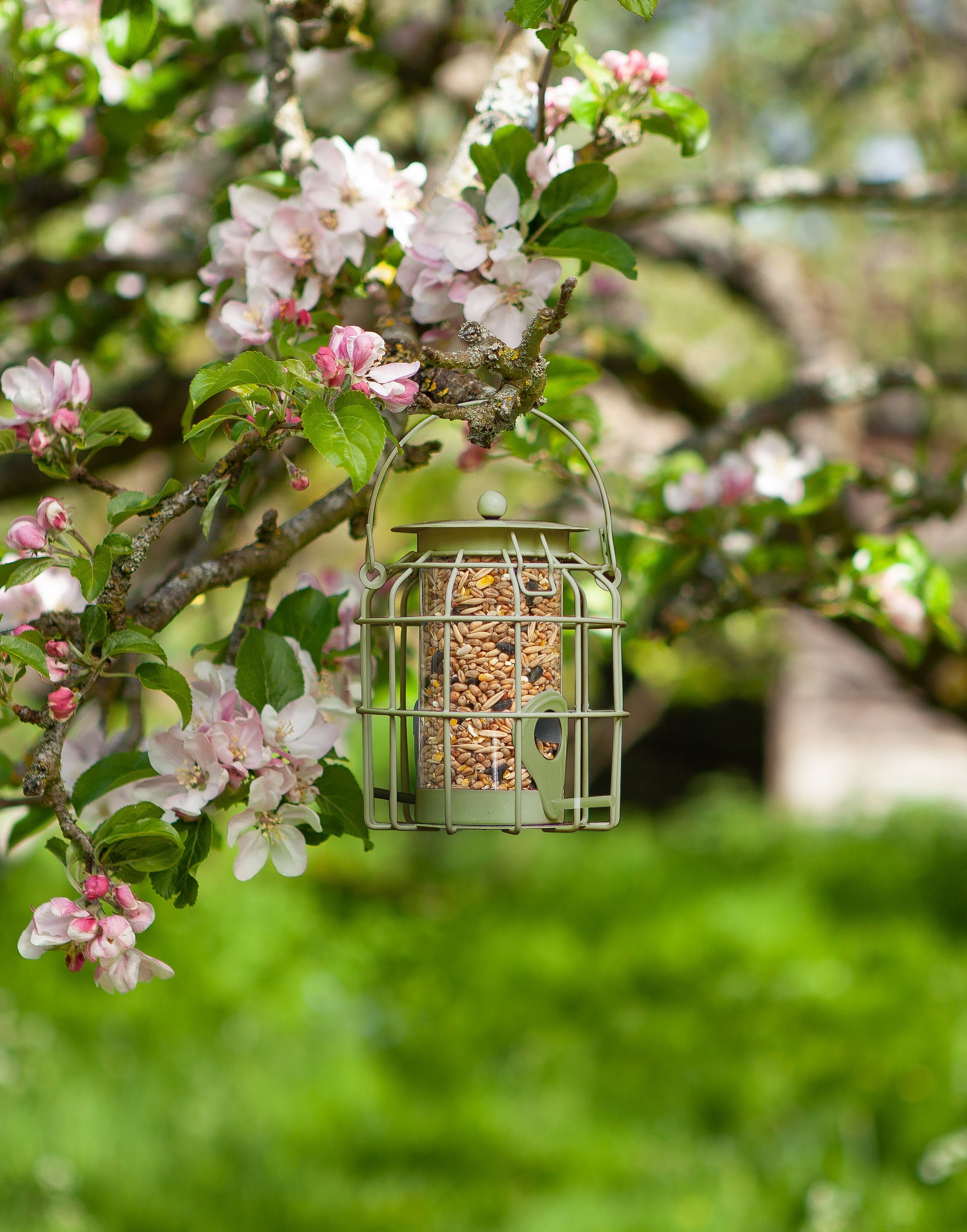 Bird feeder hanging from a tree branch with pink flowers in a garden setting
