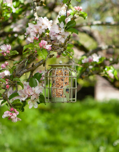 Bird feeder hanging from a tree branch with pink flowers in a garden setting