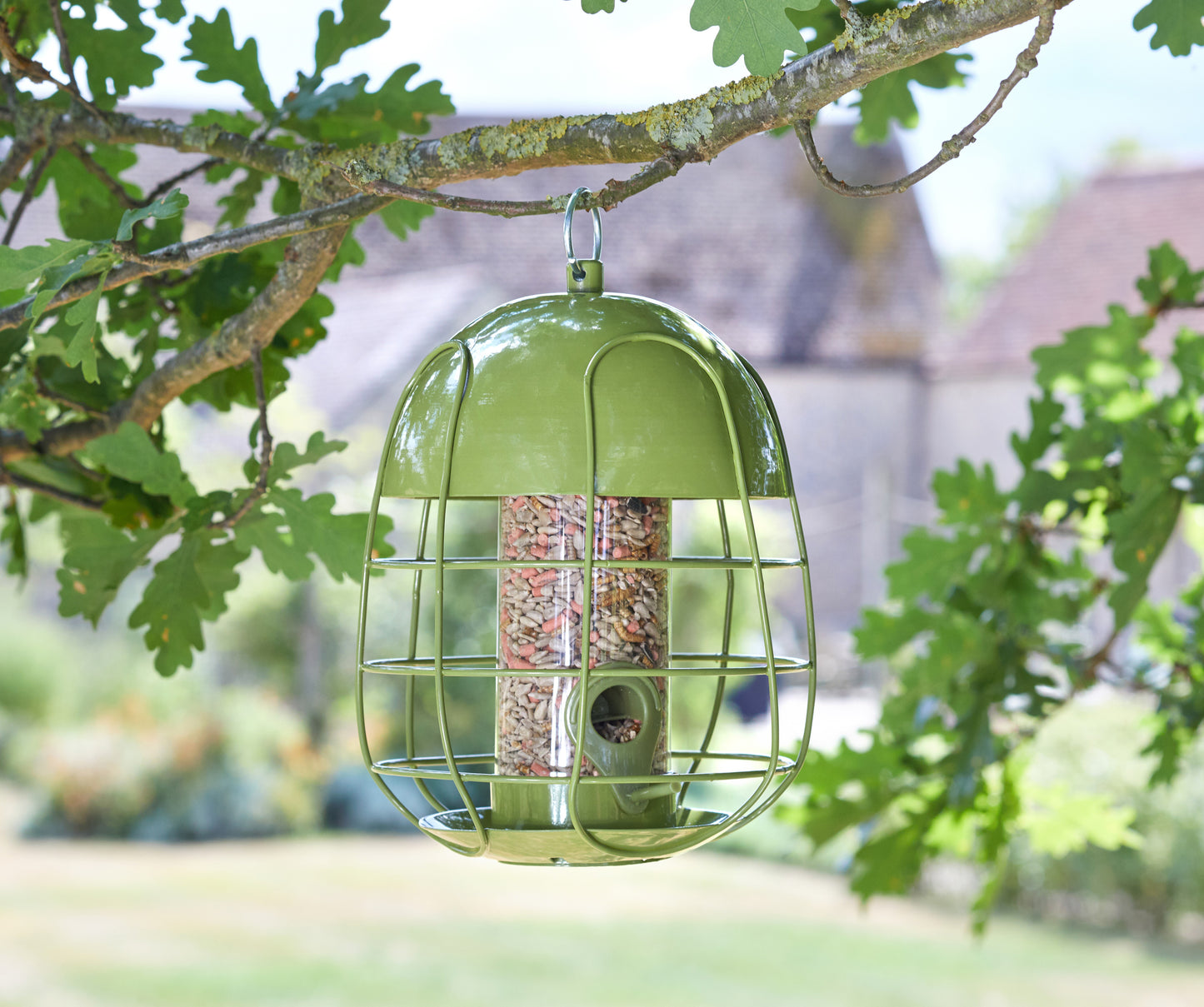 Green bird feeder hanging from a tree branch with blurred background
