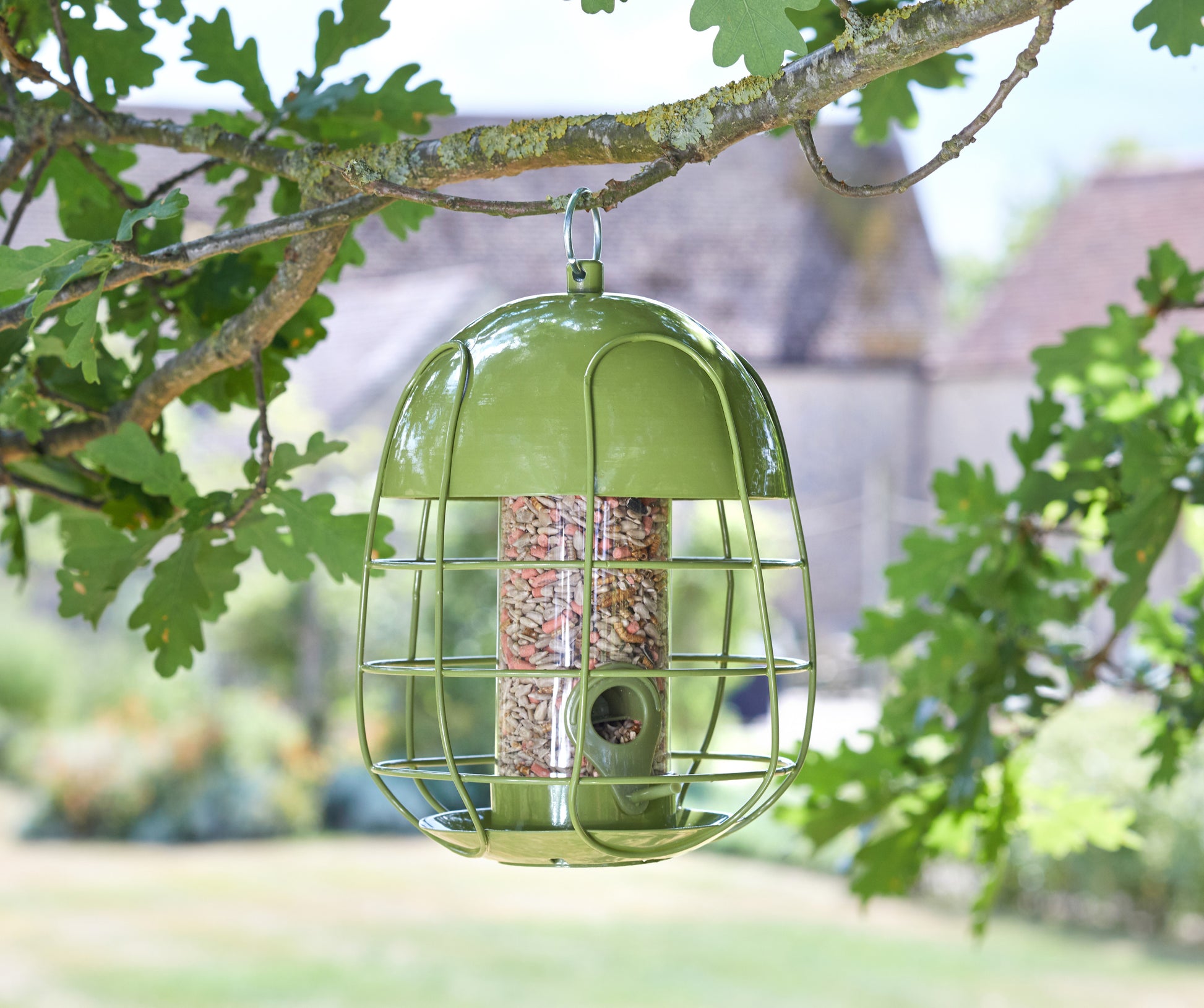 Green bird feeder hanging from a tree branch with blurred background