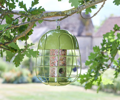 Green bird feeder hanging from a tree branch with blurred background