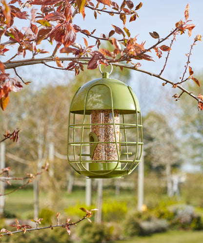 Green bird feeder hanging from a tree branch in a garden setting