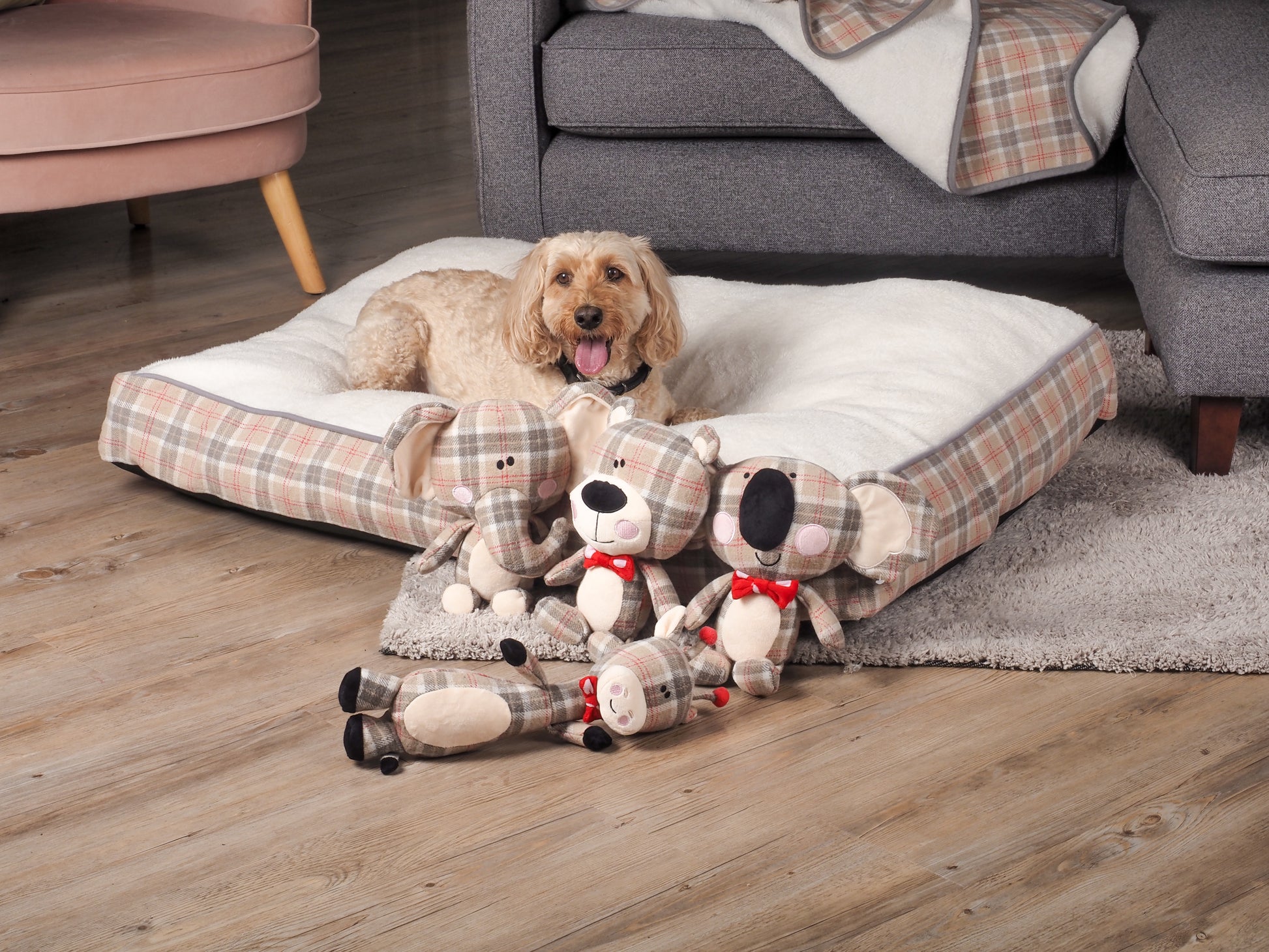 Dog lying on a checkered pet bed with plush toys in a home setting