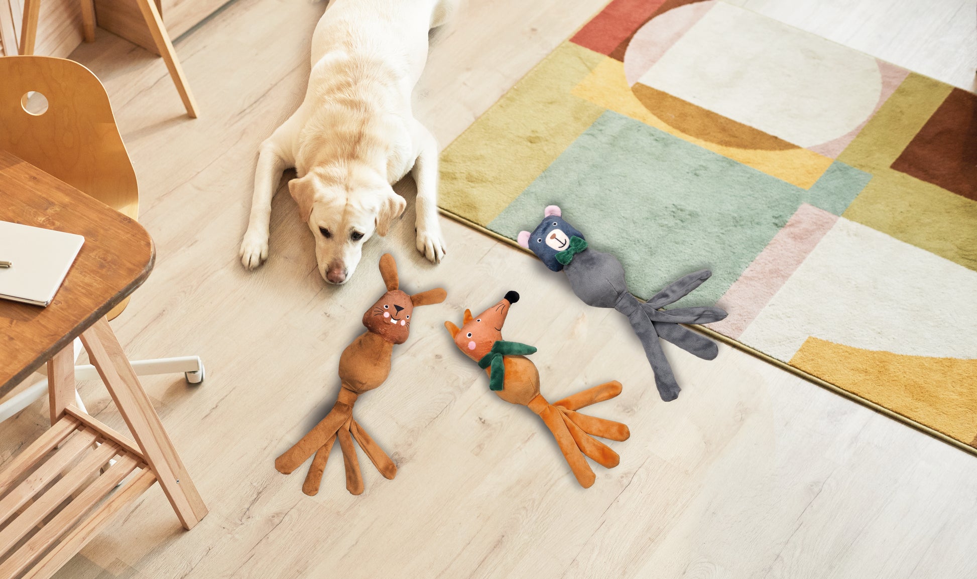 Dog lying on a wooden floor with colorful dog toys nearby