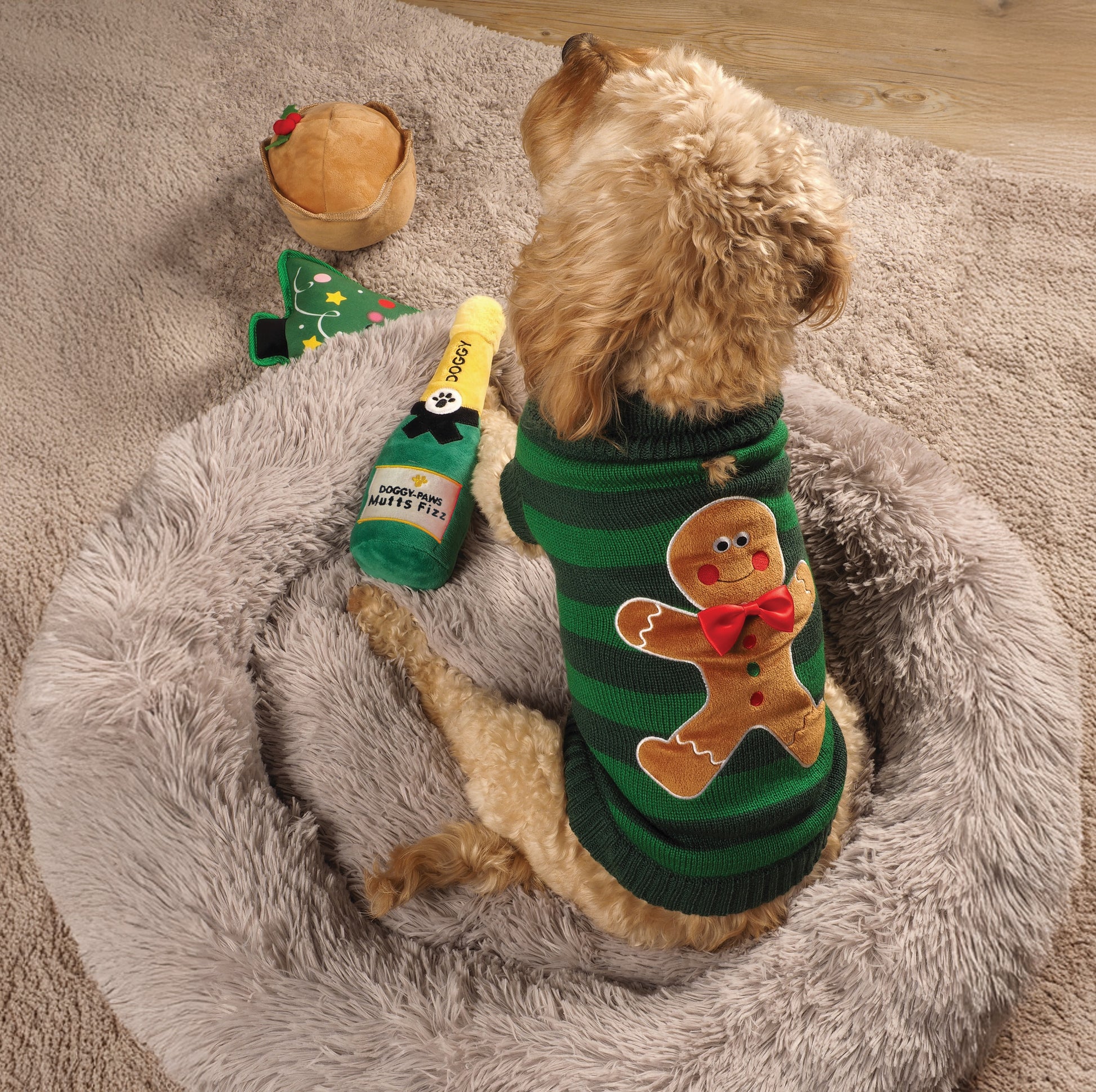 Dog wearing a green striped sweater with a gingerbread man design, sitting on a fluffy rug with Christmas-themed toys.
