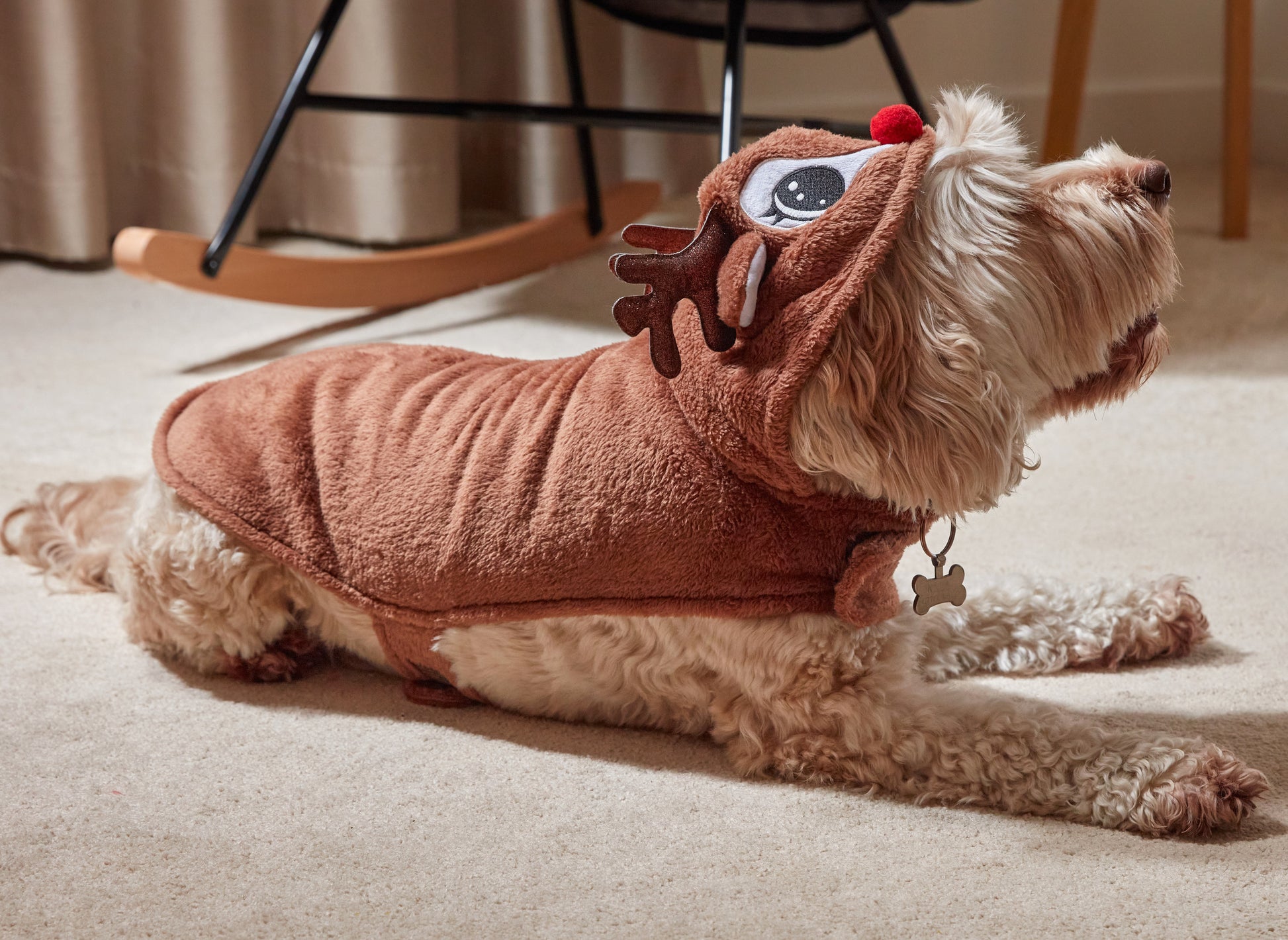 Dog wearing a brown costume with a hood and ears on a carpeted floor.
