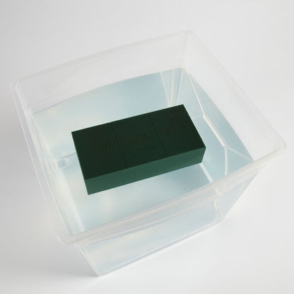 Clear plastic box with a green block inside on a white background