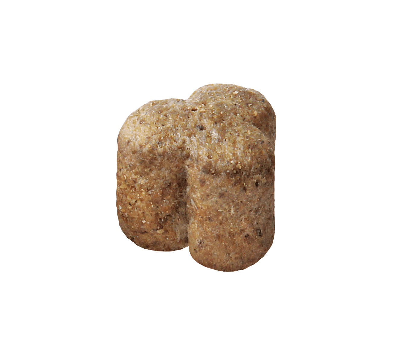 Two brown dog treats on a white background