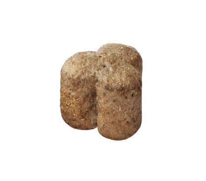 Two brown dog treats on a white background