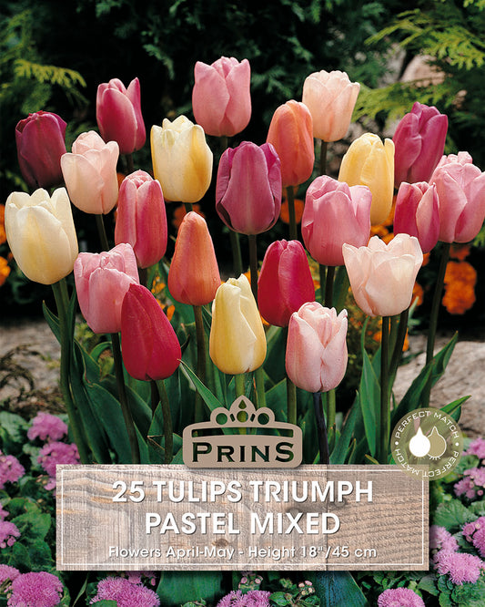 Colorful tulips with 'Prins' branding and product details on a natural background