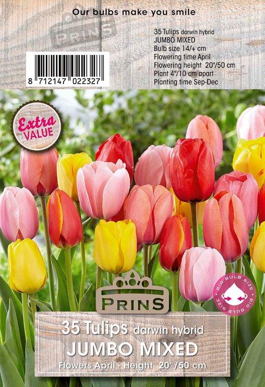 Prins Tulips Darwin Hybrid Jumbo Mixed 35 Pack Bulbs