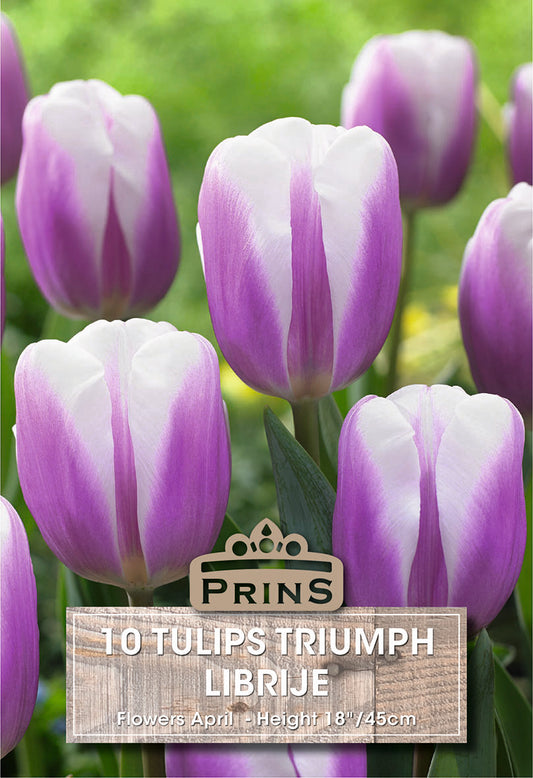 Purple and white tulips with a Prins label on a green background