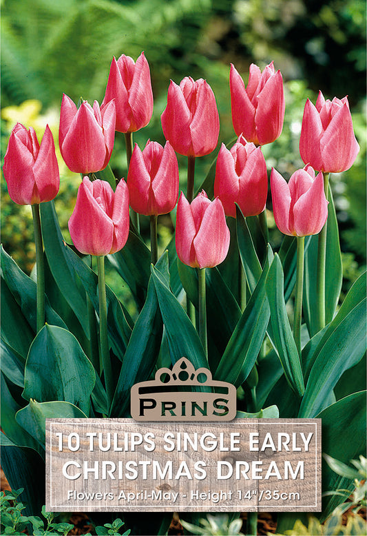 Pink tulips with a Prins label on a green background