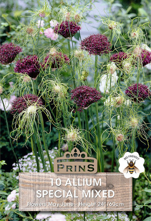 Prins Allium Special Mixed 10 Pack Bulbs