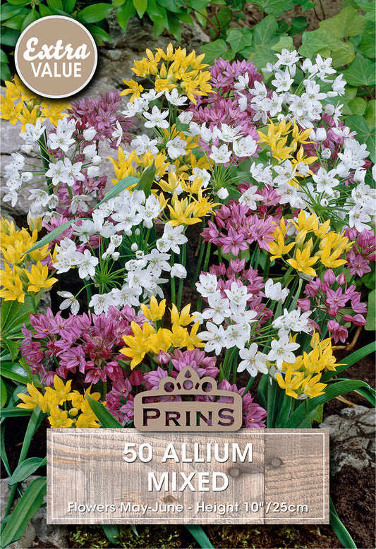 Prins Allium Mixed 50 Pack Bulbs
