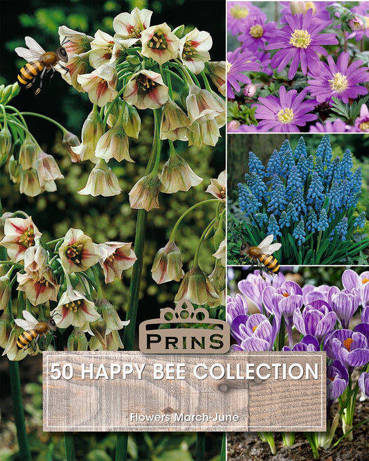 Prins Happy Bee Collection 50 Pack Bulbs